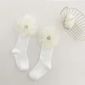 White No.2