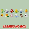 12 birds no box
