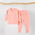 Pink Bear