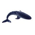 Blue Whale