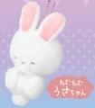 sleepy rabbit