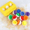 6pcs With box