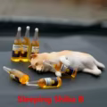 Sleeping Shiba B