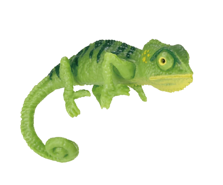 Grasp green