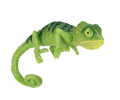 Grasp green