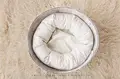 Wheat circle