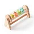 Rain Stick