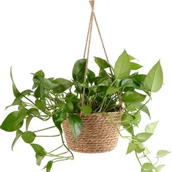 Cesta de almacenamiento de plantas con cuerda colgante, cesta de decoración de plantas, decoración del hogar, cesta de almacenamiento tejida, decoración creativa
