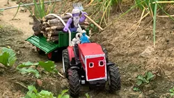 Imagen de reseña 5