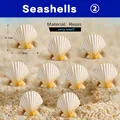 10pcs Seashells