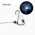 White Light Green