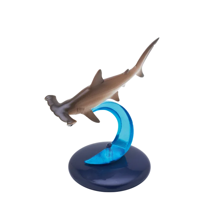 hammerhead shark