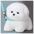 Bichon reject home B
