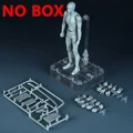 Grey male-NO BOX