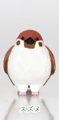 sparrow