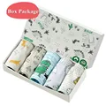 Dinosaur 6-BOX