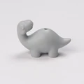 diplodocus gray