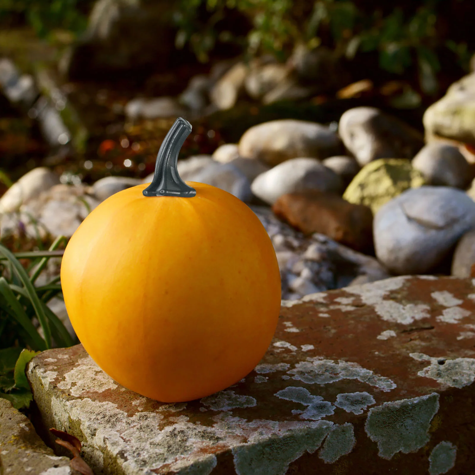 24 Uds mango de calabaza Festival DIY herramienta de fabricación de calabaza artesanal accesorio de calabaza decoración de Halloween mango de calabaza de Acción de Gracias - imagen 5