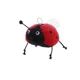 for LADYBUG