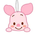 pig 24