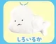 white dolphin