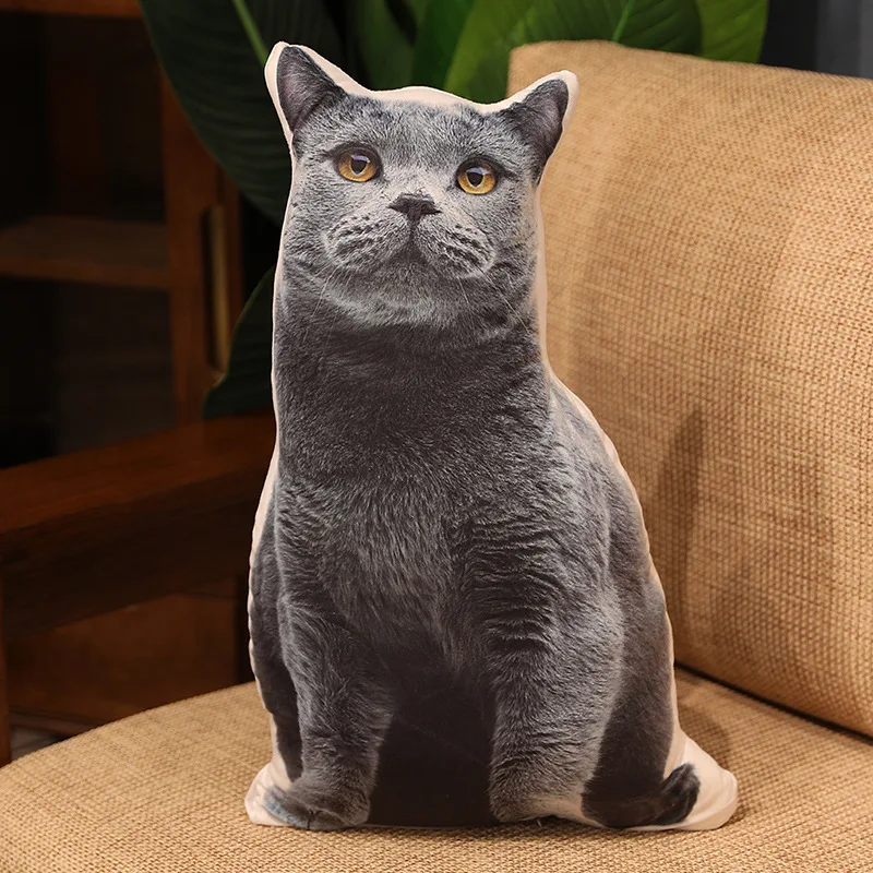 blue Cat
