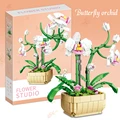 Butterfly orchid