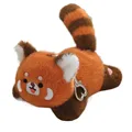 Raccoon