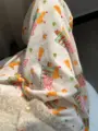 rabbit A