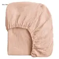 Shrimp Pink