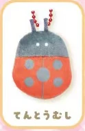 ladybugs