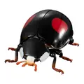 2-spotted ladybird