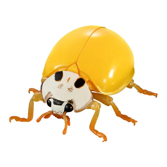 yellow ladybird