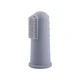 Gray Toothbrush