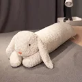 white rabbit