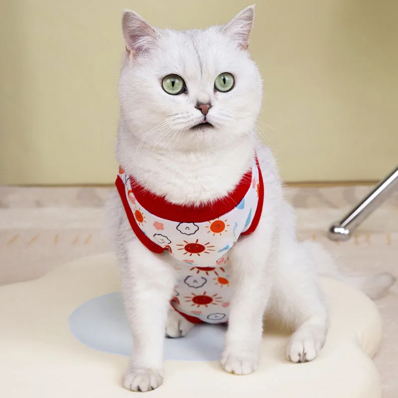 Ropa de malla para perros, mono envuelto, pijamas para perros pequeños Shih Tzu, ropa de verano para cachorros, chándal de recuperación, mono para cachorros - imagen 4