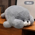 gray 60cm