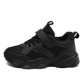 Black  mesh