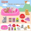 11pcs pet set