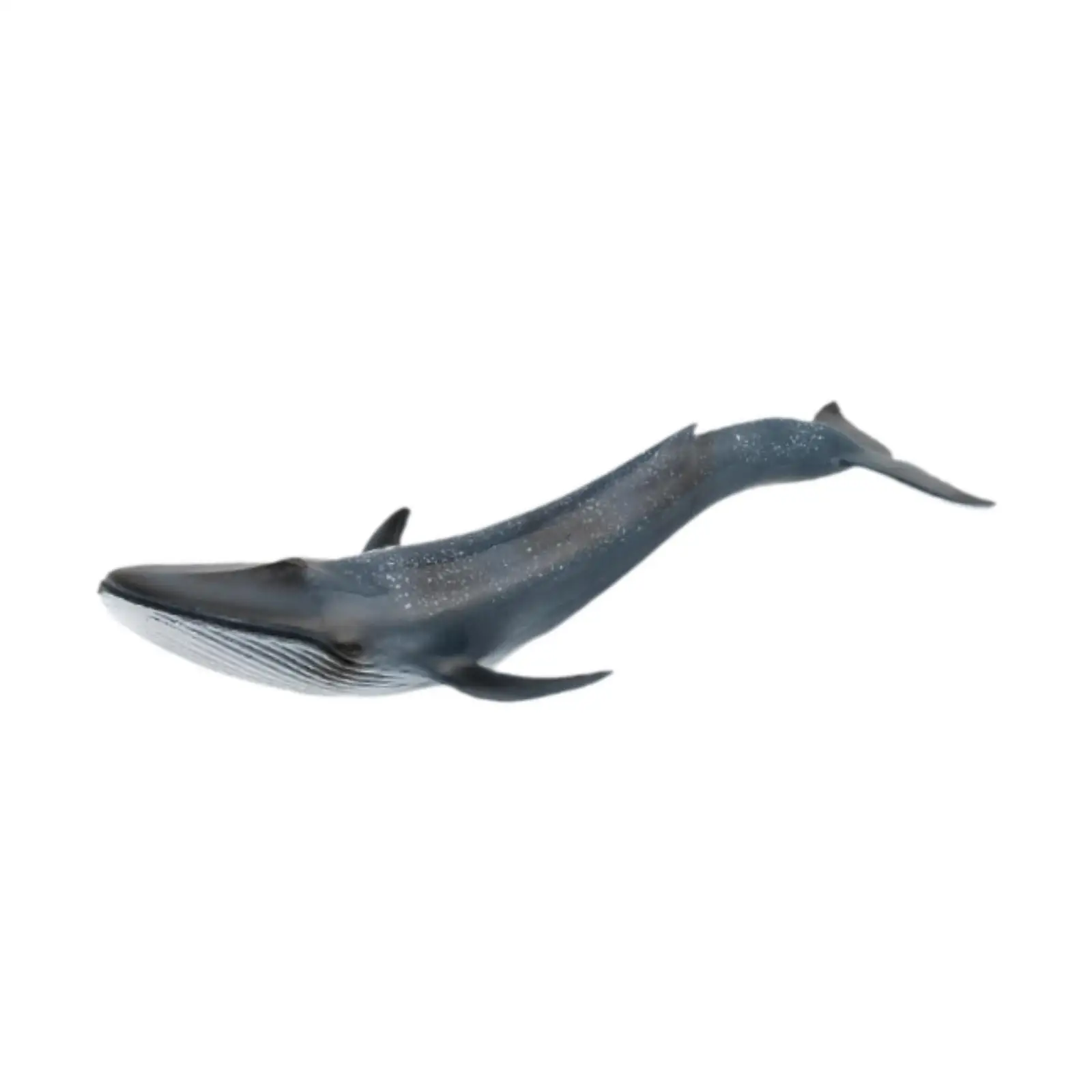 Simulation Whales Model Figures Simulation Marine Life Model