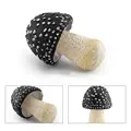 Amanita1