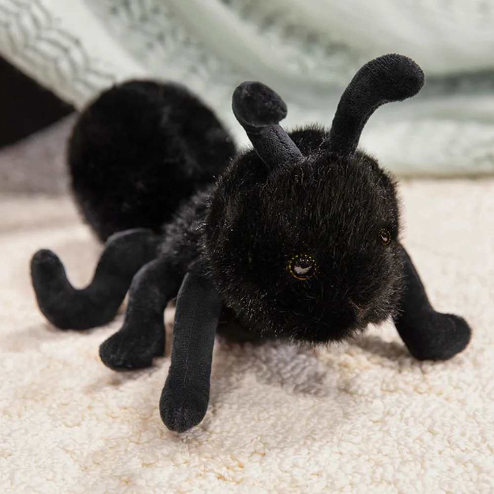 23cm Ant B