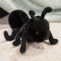 23cm Ant B