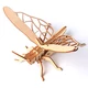 grasshopper