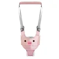 Pink pig