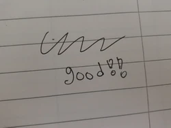 Review image 2