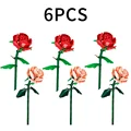 6pcs