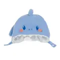 blue shark