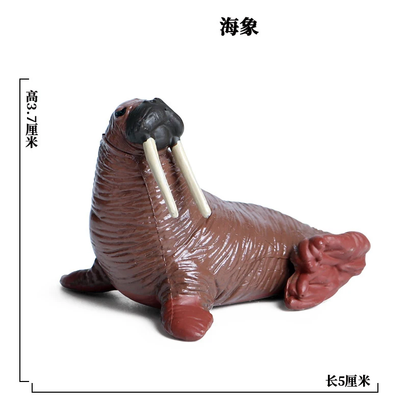 SEA LIFE - 23