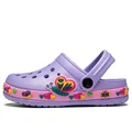 2011ddxpurple